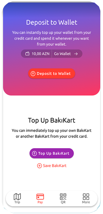 App Pay Page